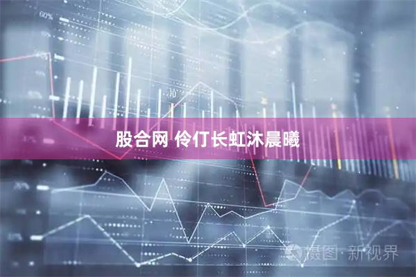 股合网 伶仃长虹沐晨曦