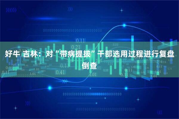 好牛 吉林：对“带病提拔”干部选用过程进行复盘倒查