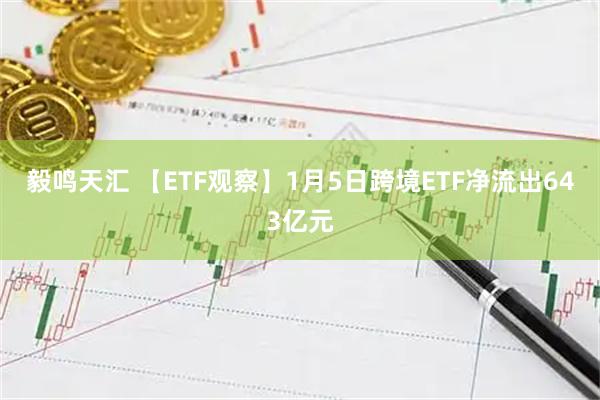 毅鸣天汇 【ETF观察】1月5日跨境ETF净流出643亿元