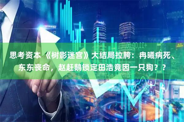 思考资本 《树影迷宫》大结局拉胯：冉曦病死、东东丧命，赵赶鹅锁定田浩竟因一只狗？？