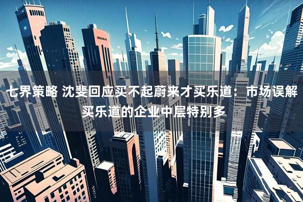 七界策略 沈斐回应买不起蔚来才买乐道：市场误解 买乐道的企业中层特别多